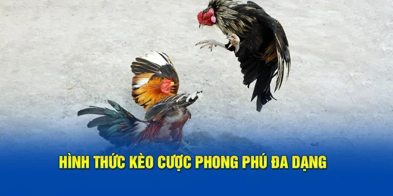 Hình thức kèo cược phong phú đa dạng