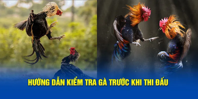 Hướng dẫn kiểm tra trước khi thi 