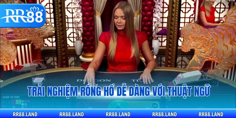 Trải nghiệm Rồng Hổ dễ dàng với thuật ngữ